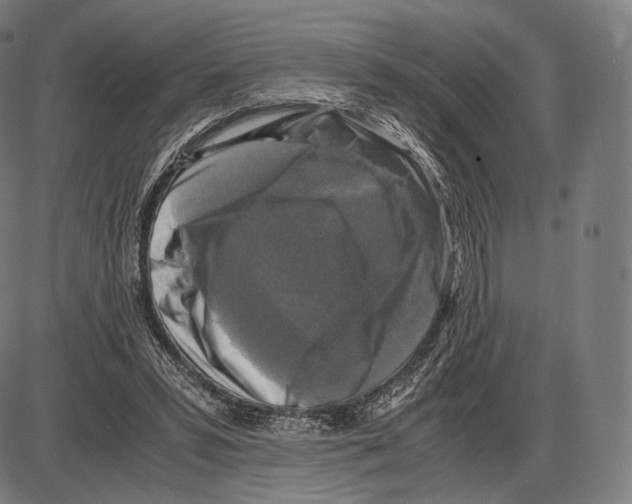 X0000084010399200703161719