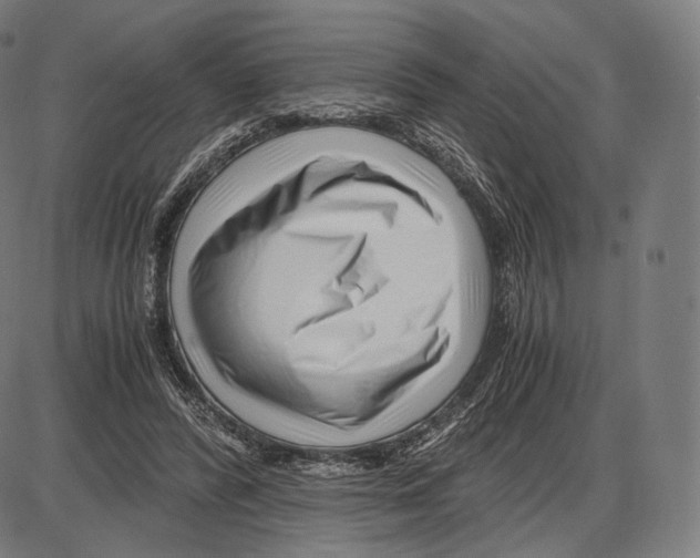 X0000084010400200703161719