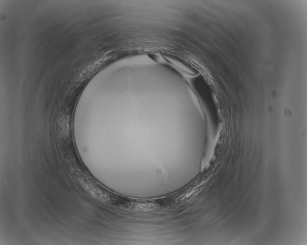 X0000084010401200703161719