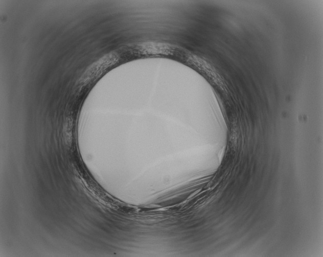 X0000084010402200703161719