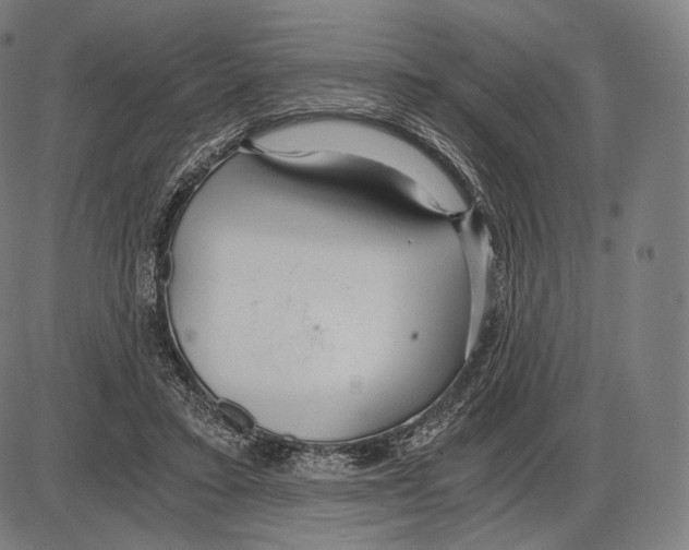 X0000084010403200703161719