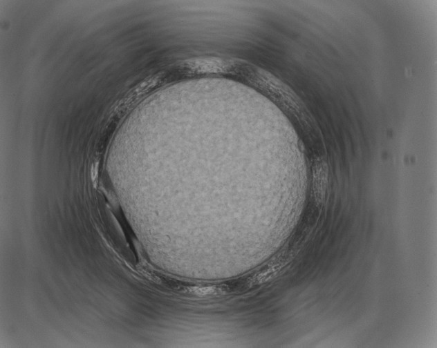 X0000084010406200703161719