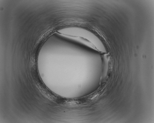 X0000084010407200703161719