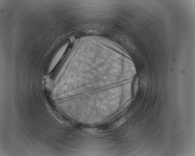 X0000084010408200703161719