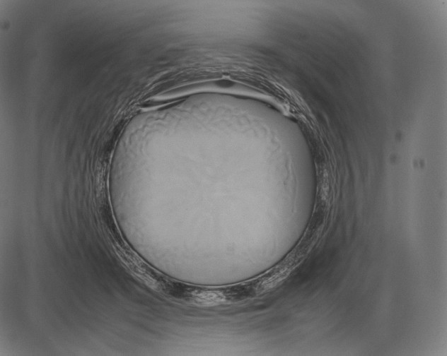 X0000084010409200703161719