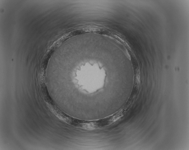 X0000084010411200703161719