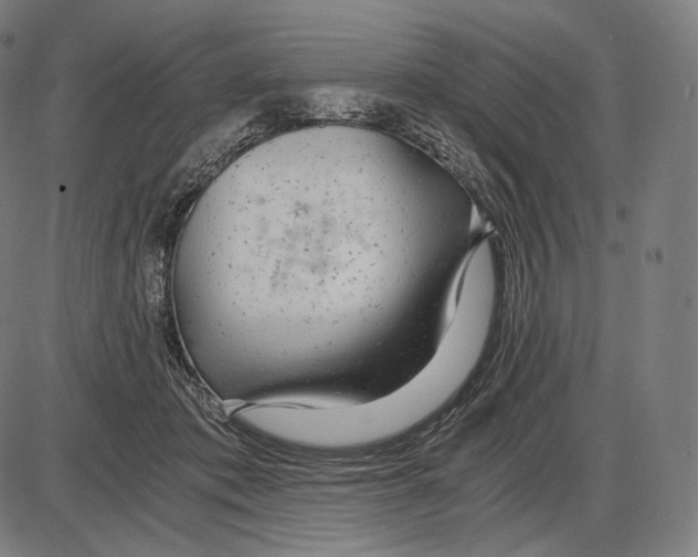 X0000084010413200703161719