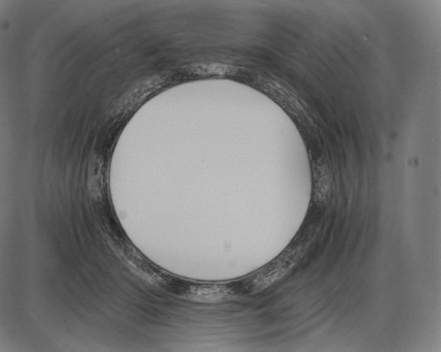 X0000084010414200703161719