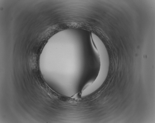 X0000084010416200703161719