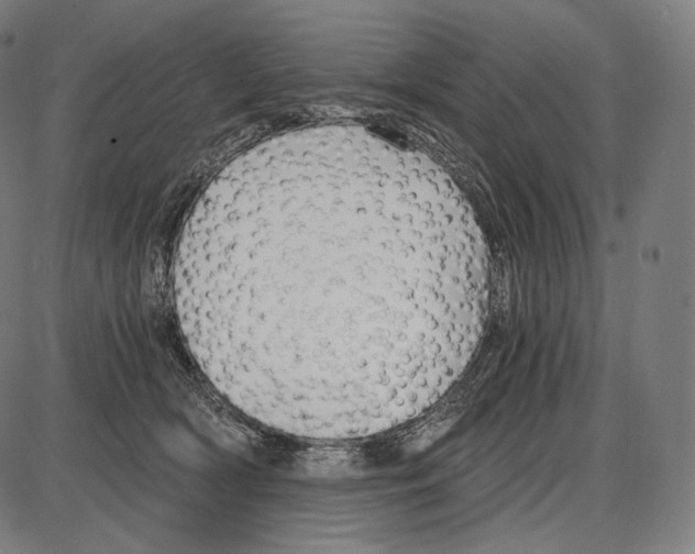 X0000084010418200703161719