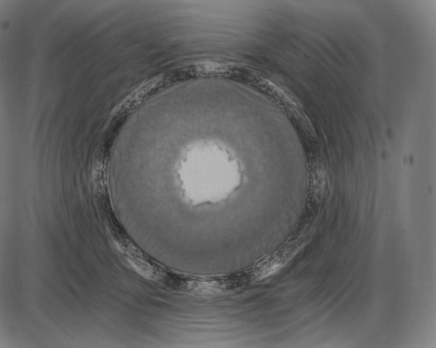 X0000084010419200703161719