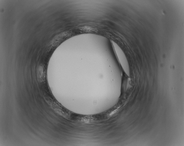 X0000084010420200703161719