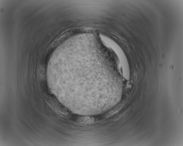 X0000084010421200703161719