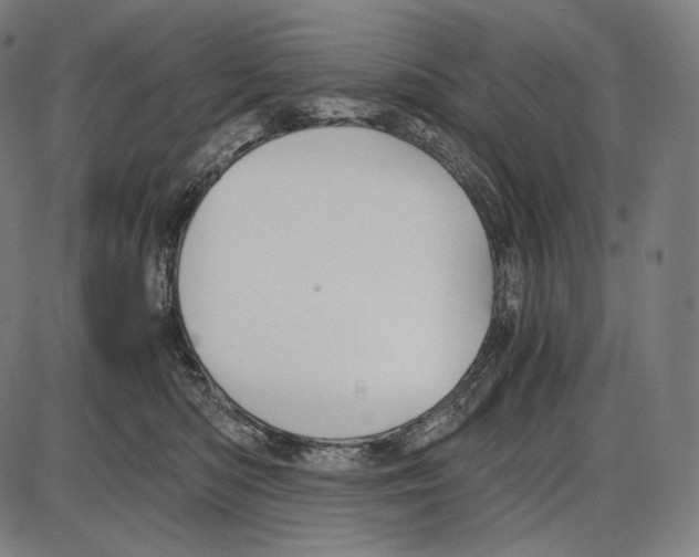 X0000084010422200703161719