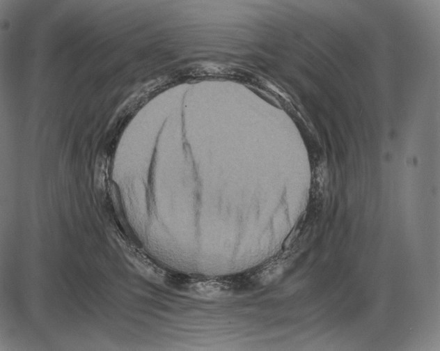 X0000084010423200703161719