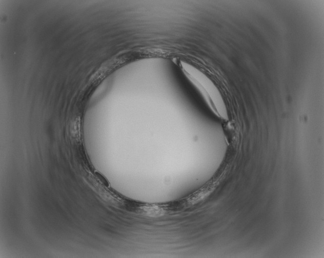 X0000084010425200703161718