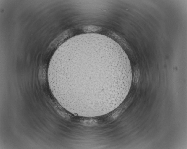 X0000084010426200703161718