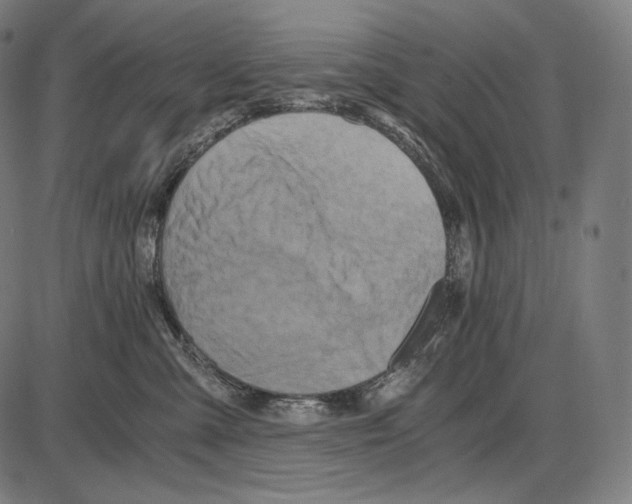 X0000084010427200703161718