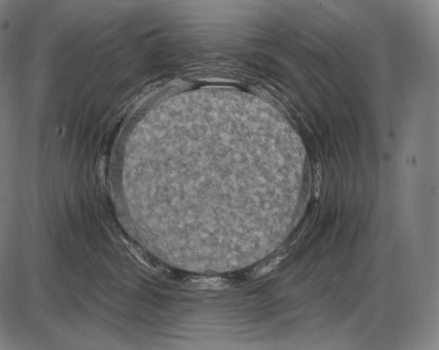 X0000084010428200703161718