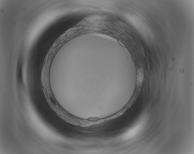 X0000084010431200703161718