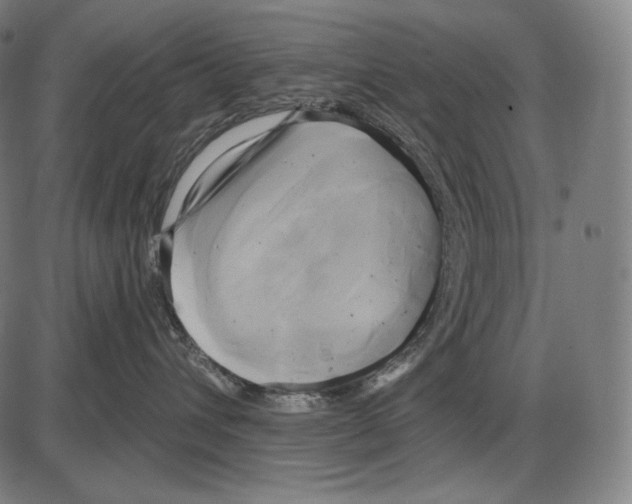 X0000084010432200703161718