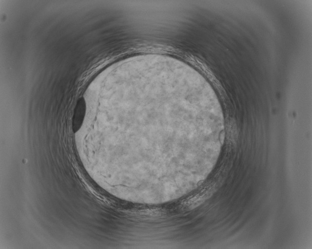 X0000084010433200703161718