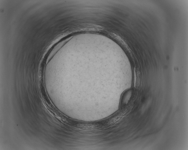 X0000084010435200703161718