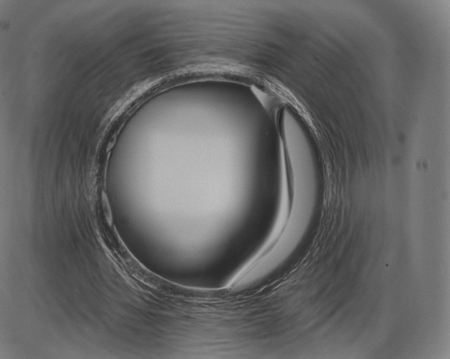 X0000084010436200703161718