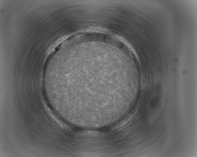 X0000084010437200703161718