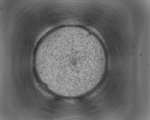 X0000084010439200703161718