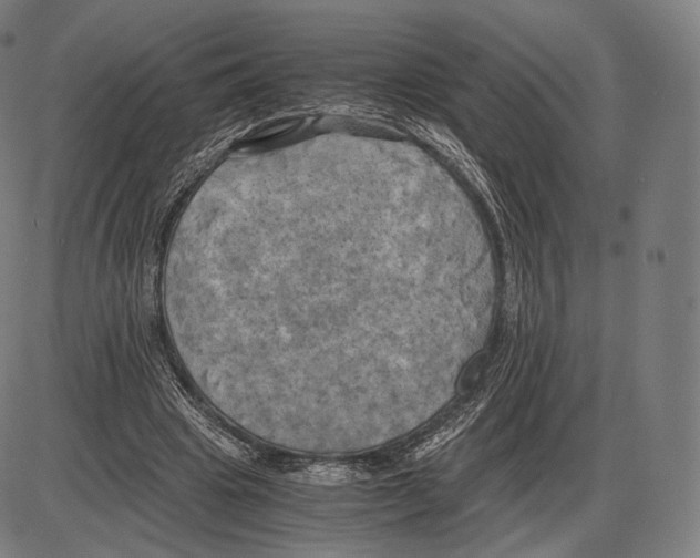 X0000084010441200703161718