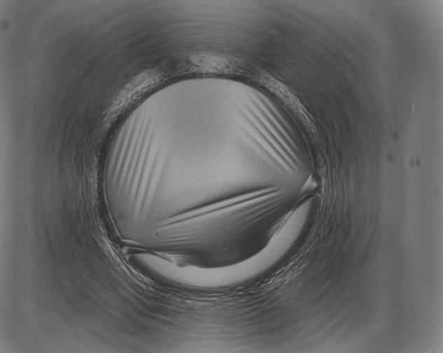 X0000084010442200703161718