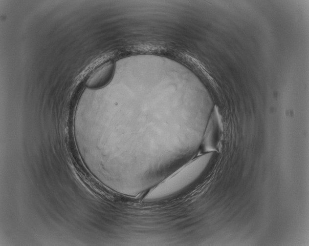 X0000084010443200703161718