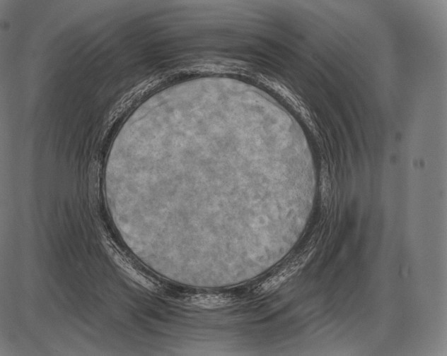 X0000084010445200703161718