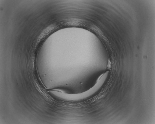 X0000084010446200703161718