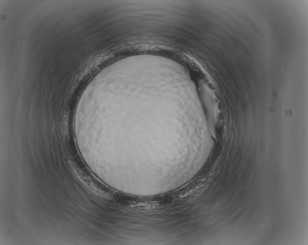 X0000084010447200703161718