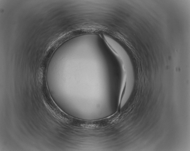 X0000084010448200703161718