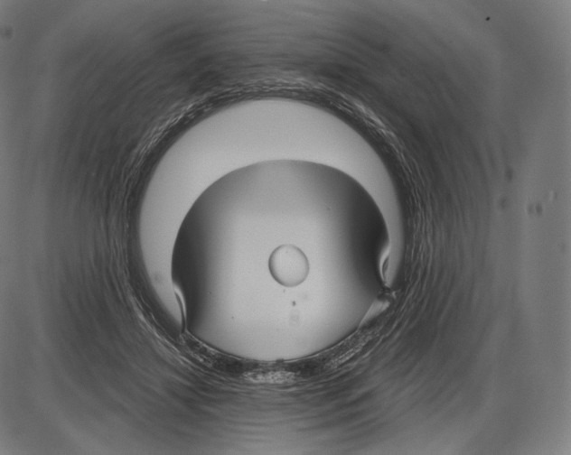 X0000084010452200703161718