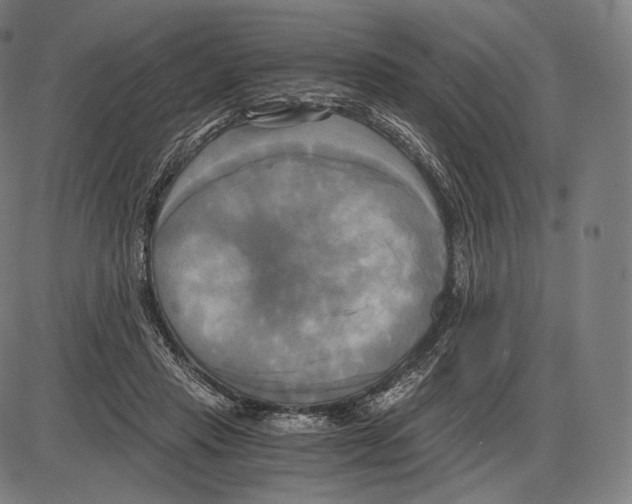 X0000084010453200703161718