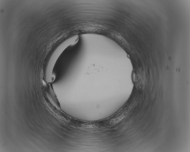 X0000084010454200703161718