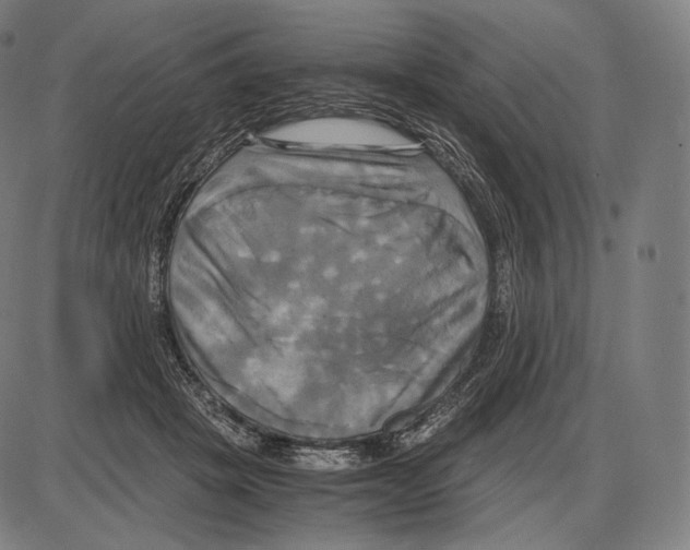 X0000084010457200703161718