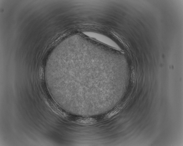 X0000084010459200703161718