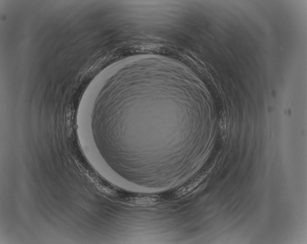 X0000084010462200703161718