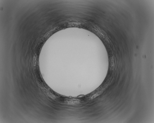 X0000084010463200703161718