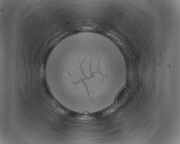 X0000084010467200703161718