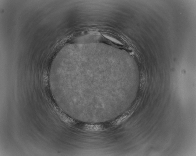 X0000084010469200703161718