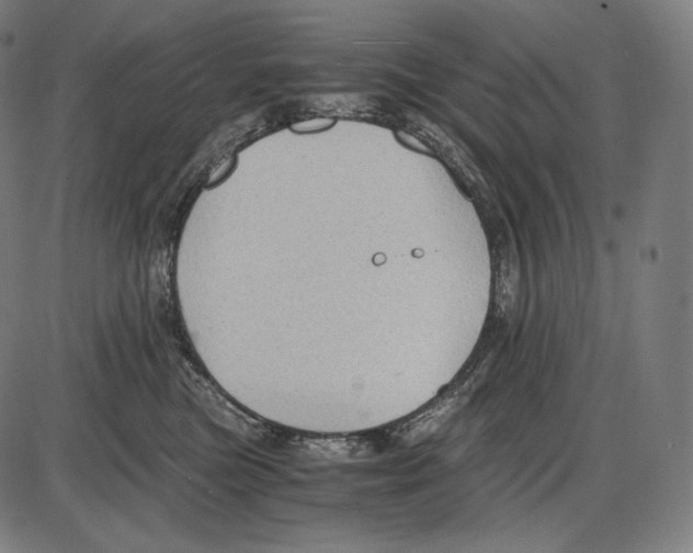 X0000084010473200703161718