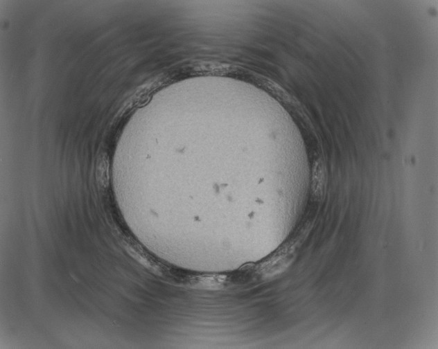 X0000084010474200703161718