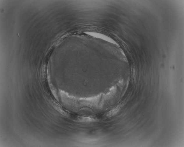 X0000084010475200703161718