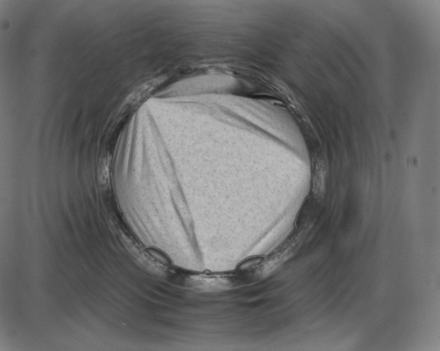 X0000084010477200703161718